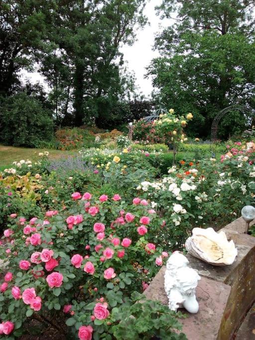 Ferienhaus Rosengarten Loxstedt Kültér fotó