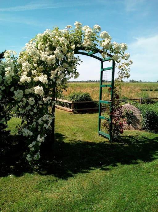 Ferienhaus Rosengarten Loxstedt Kültér fotó